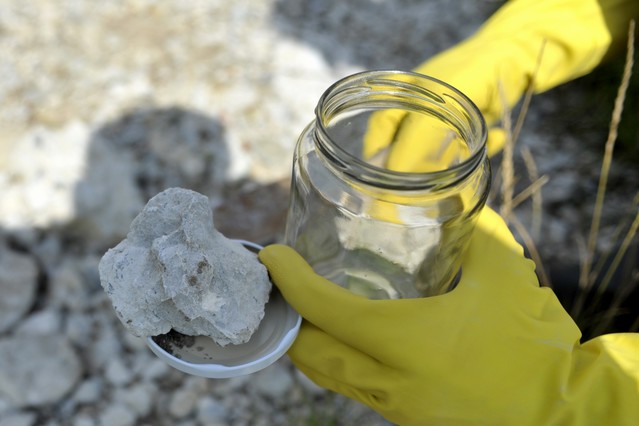 Wieder Giftmüllskandal in Hagenthal class=