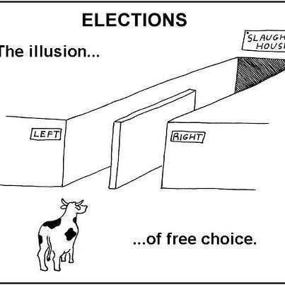 Illusion of free choice?