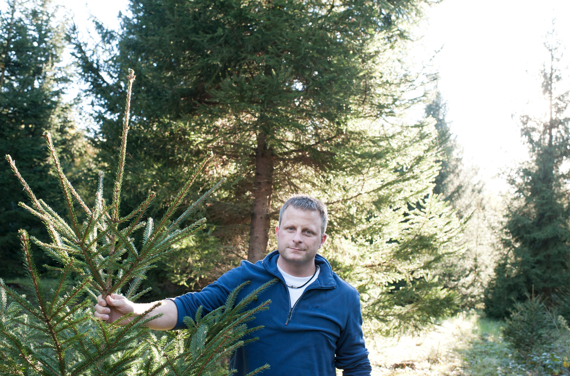 Gefordert Christian Kleiber TagesWoche