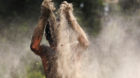 A boy plays with mud on the banks of river Yamuna on a hot day in New Delhi June 7, 2013. Temperatures in Delhi reached 43.2 