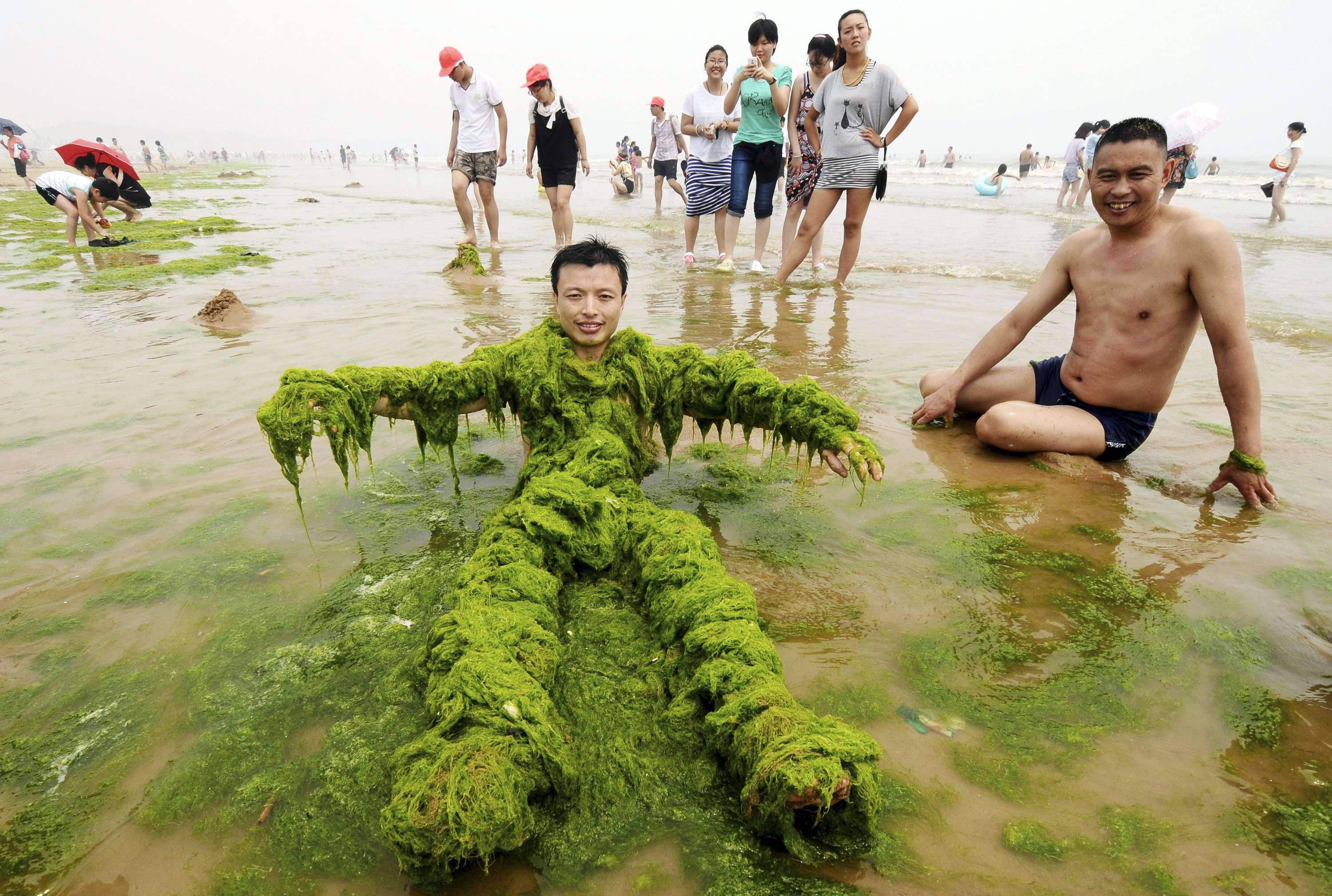 Китайские водоросли. Человек в водорослях. Речные водоросли.