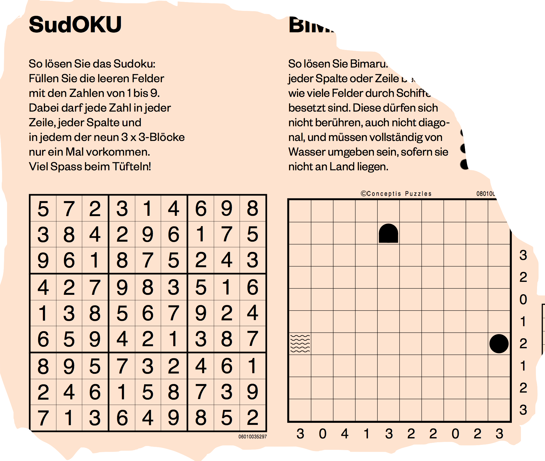 Sudoku für Anfänger | TagesWoche