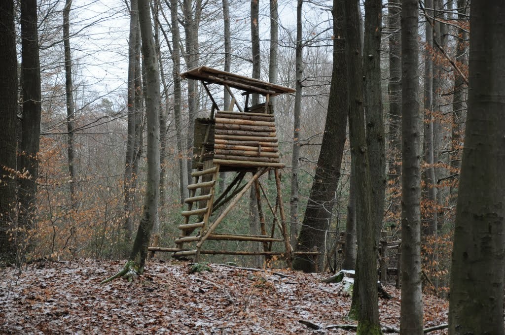 Militante Tierschutzer Melden Sich Zuruck eswoche