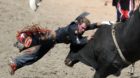 Chase Outlaw of Hamburg, Arizona gets bucked off the bull Crazy Bull in the bull riding event during the final day of the Cal