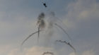 An Israeli Apache helicopter fires flares above Israel near the border with northern Gaza July 20, 2014. Israel said on Sunda