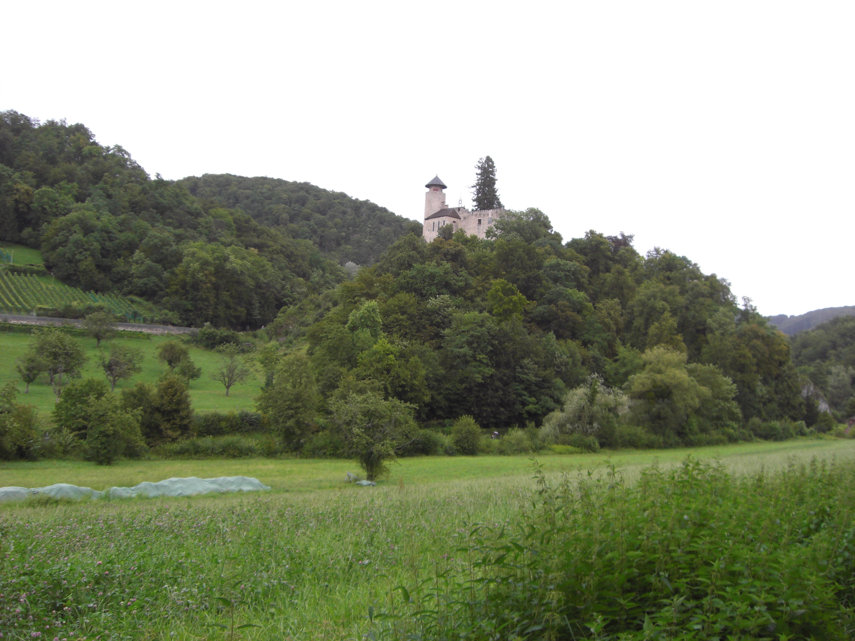 Thront hoch über dem Eingang zur Ermitage: Schloss Birseck.