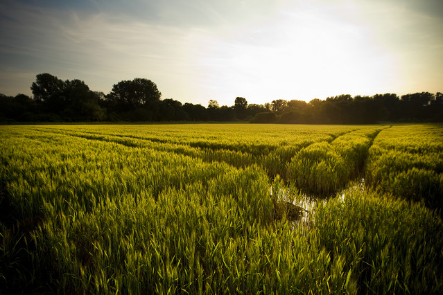 Der Sommer kommt noch und an diesen Orten verbringen Sie ihn am besten class=