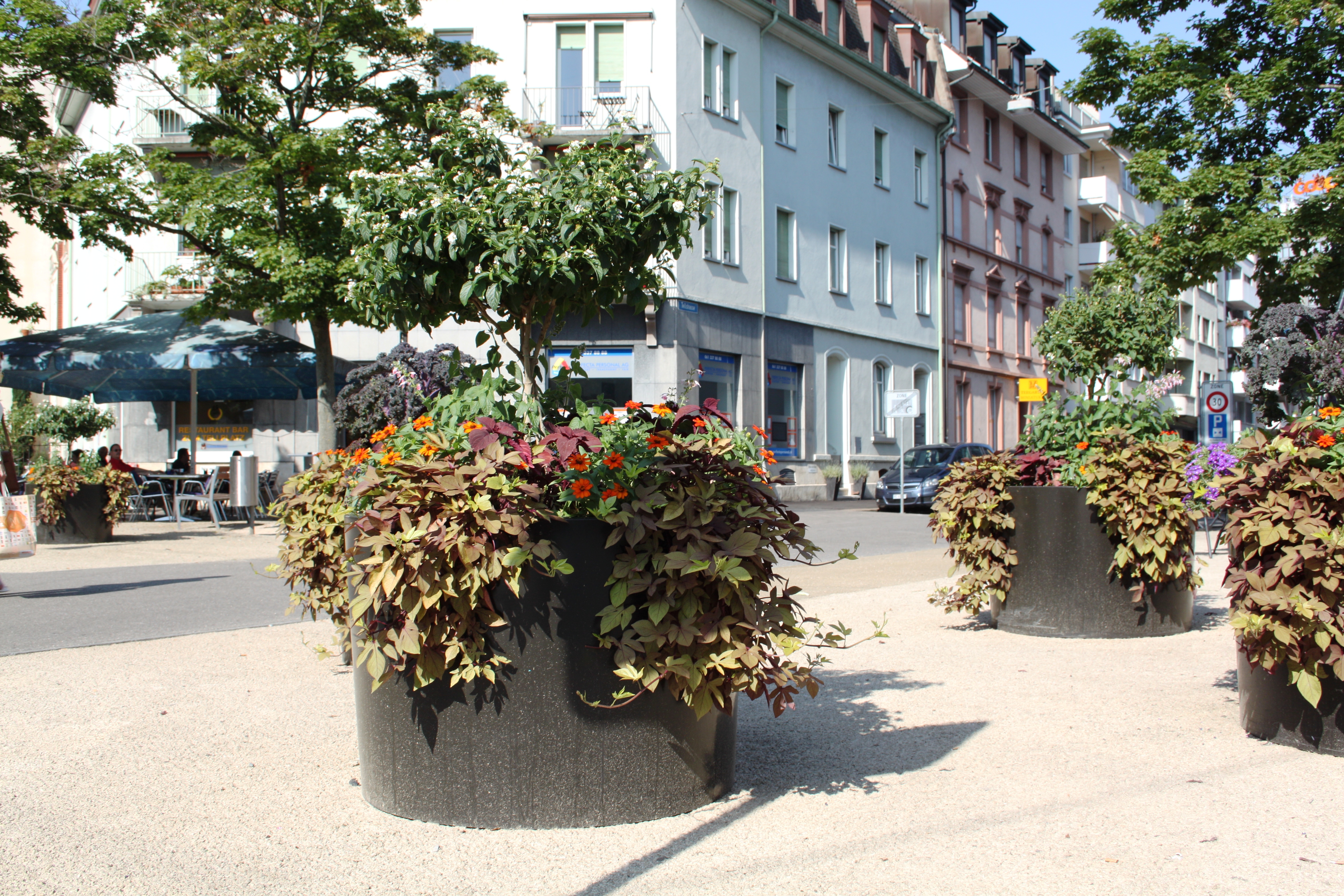 Wechselbepflanzt, optisch ansprechend und mobil: die Blumenkübel auf dem Tellplatz. Echte Gundelianer eben.