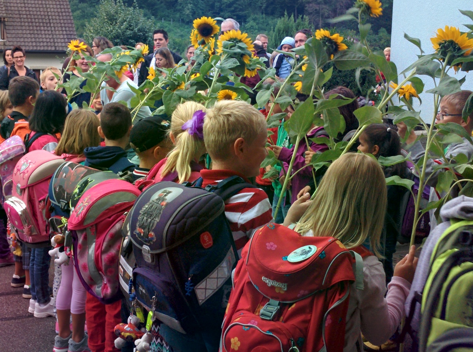 Freundlicher Empfang: Die Zweitklässler begrüssen die Bildungsdirektorin mit Sonnenblumen und singen den Erstklässlern ein Ständchen.