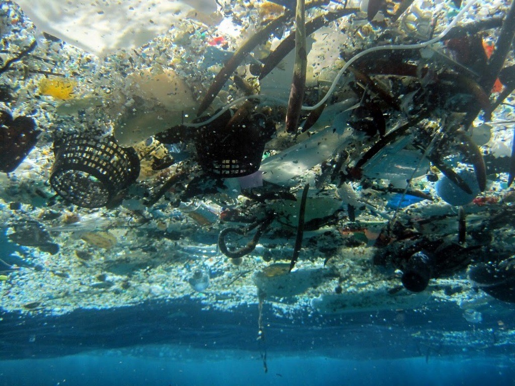 Die Millionen Tonnen Plastik In Den Weltmeeren Gefährden Tiere Tageswoche 