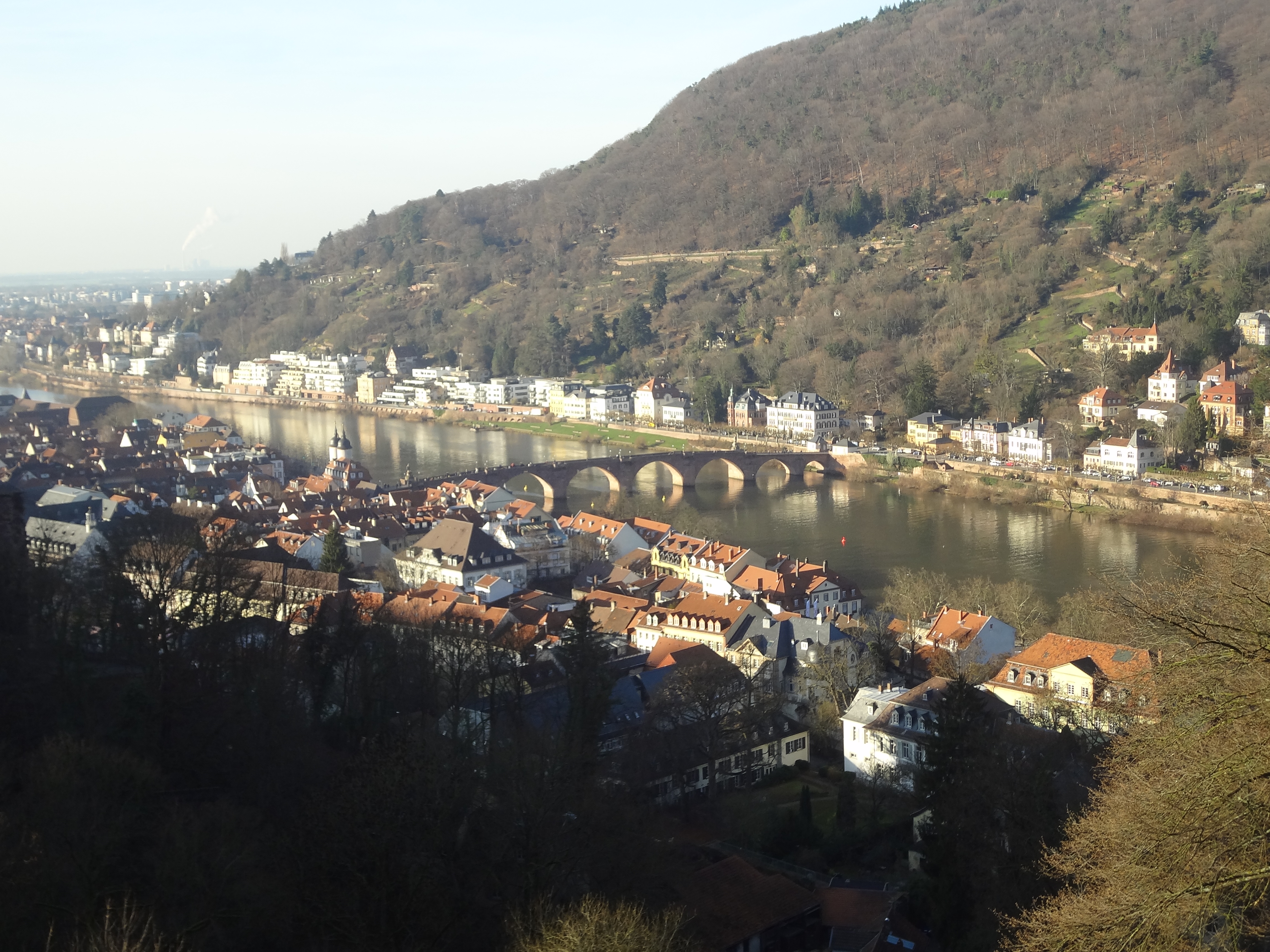 Zur Belohnung gibt es einen Blick auf den Neckar. – Am anderem Ufer in sonniger Höhe zu sehen: der Philosophenweg.