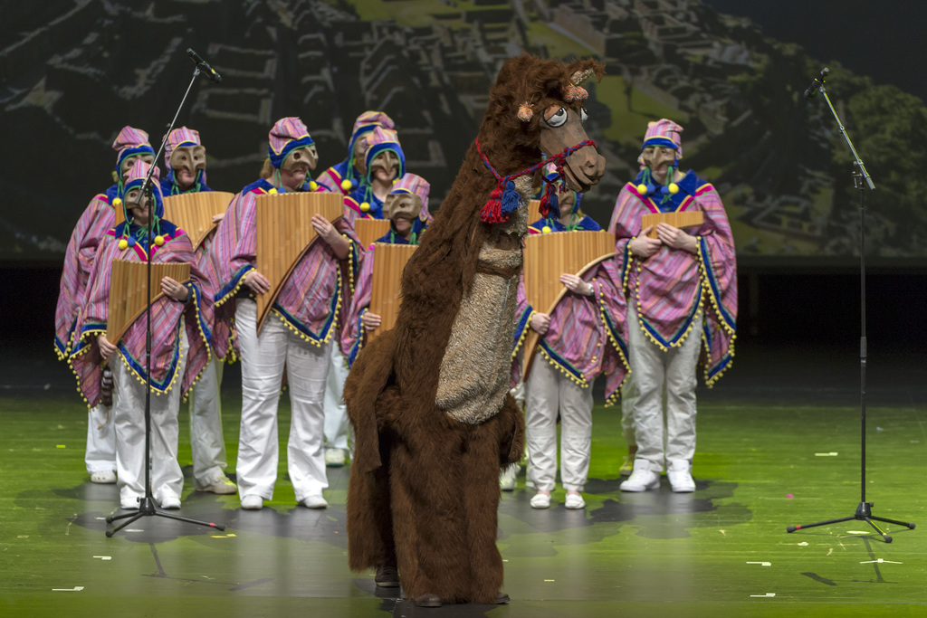 Ein betrunkenes Alpaka als Tambourmajor: Die Rootsheere-Clique nimmt die Fasnacht in die Anden.