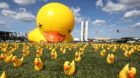 Inflatable dolls in the shape of ducks are seen in front of the National Congress during a protest against tax increases in B