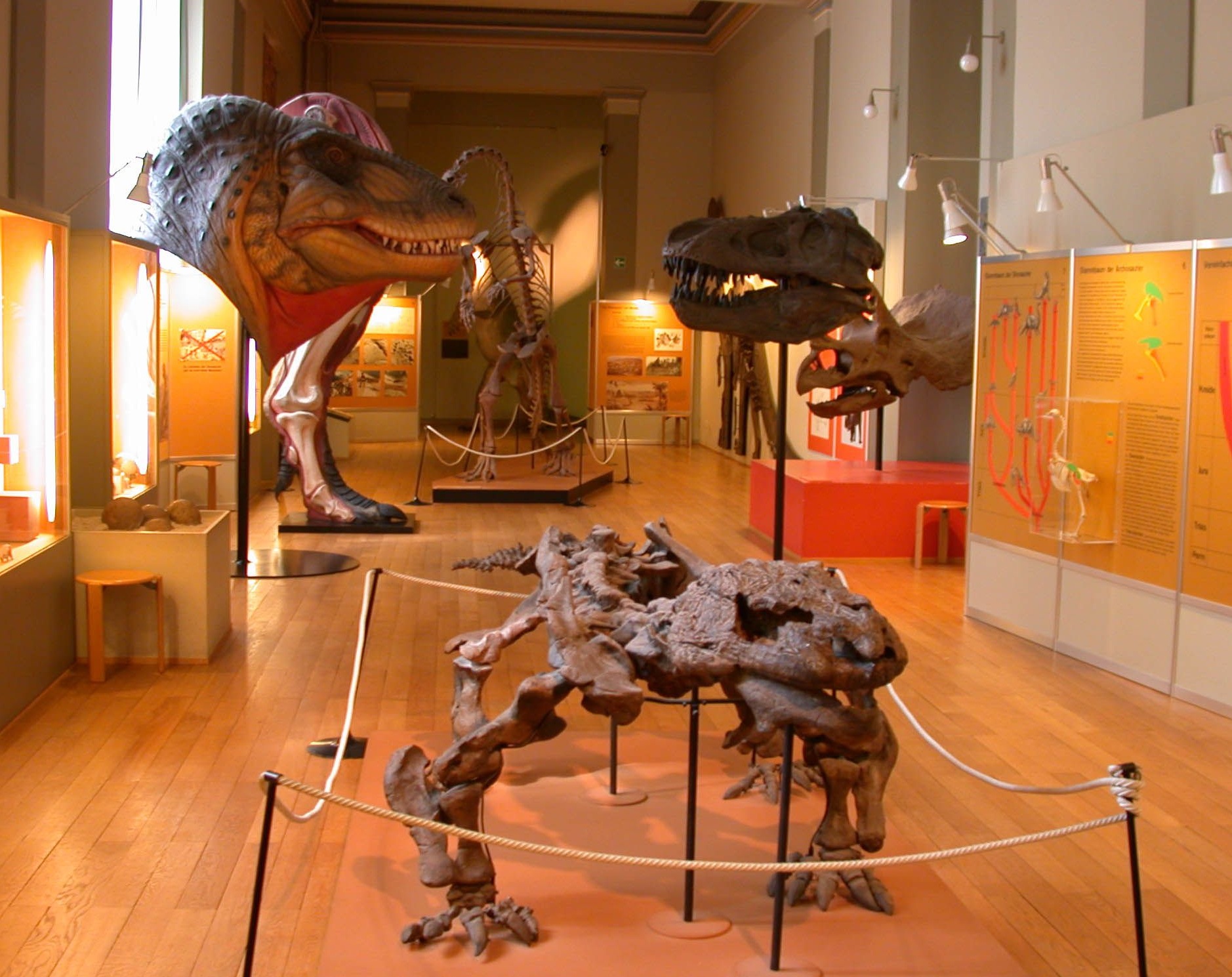 Die Dino-Ausstellung aus den Siebzigerjahren entsprach im Laufe der Zeit nicht mehr dem wissenschaftlichen Stand. Daher wurde 2004 ein neues Ausstellungskonzept realisiert.
