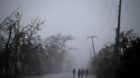 People walk on the road as rain falls during Hurricane Matthew in Les Cayes, Haiti, October 4, 2016. REUTERS/Andres Martinez 