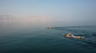 Environmental activists take part in "The Dead Sea Swim Challenge", swimming from the Jordanian to Israeli shore, to draw att