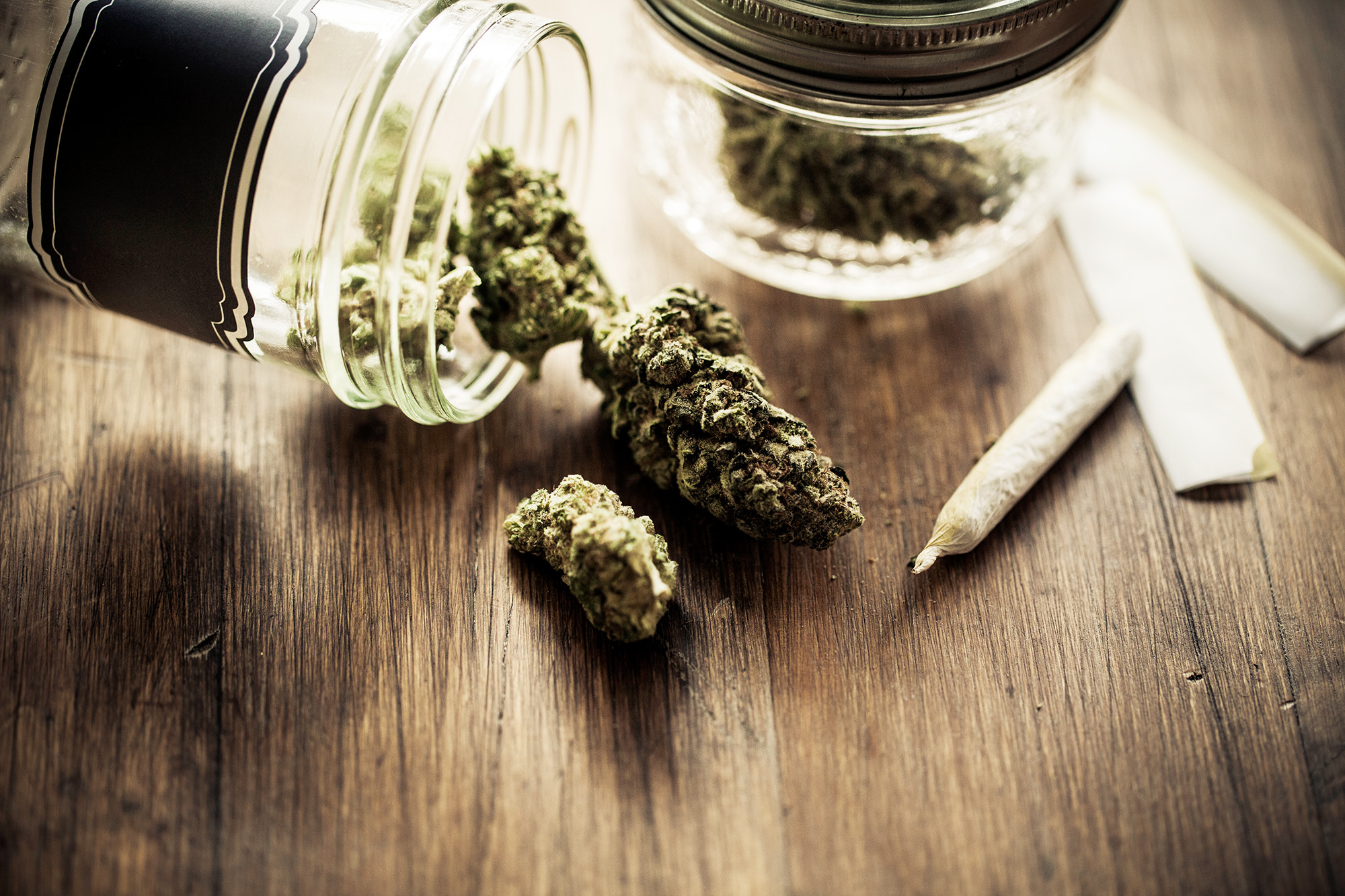 Cannabis erhöht das Schizophrenierisiko um 37 Prozent TagesWoche