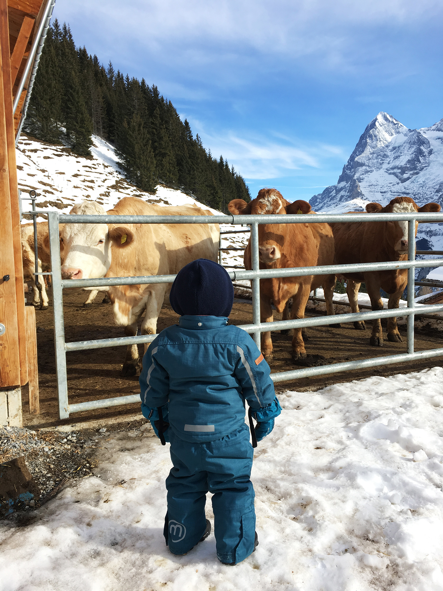 Klein Beck in Mürren.