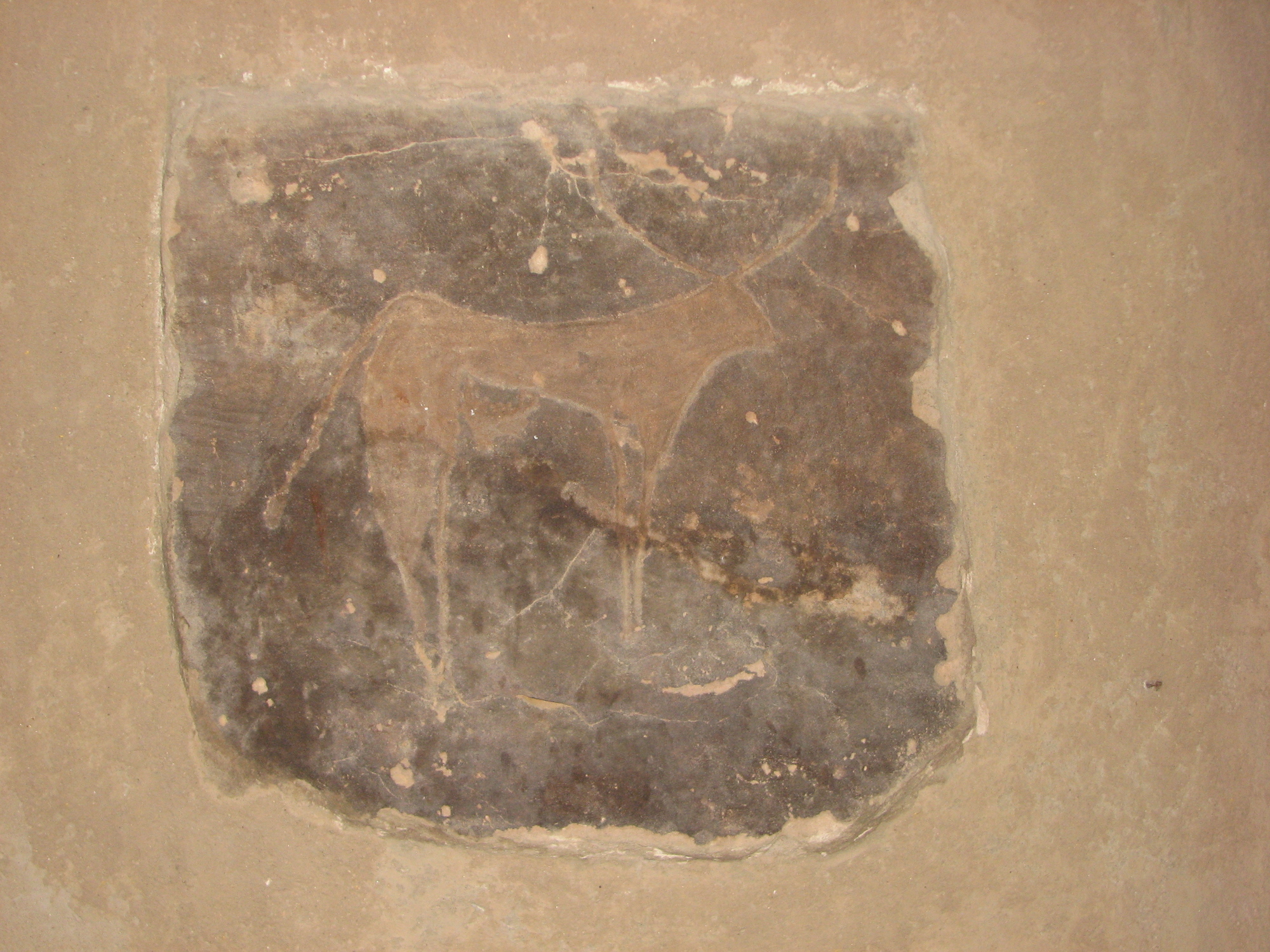 Höhlenmalereien wie diese belegen die Jahrtausende alte Kultur der Nubier.