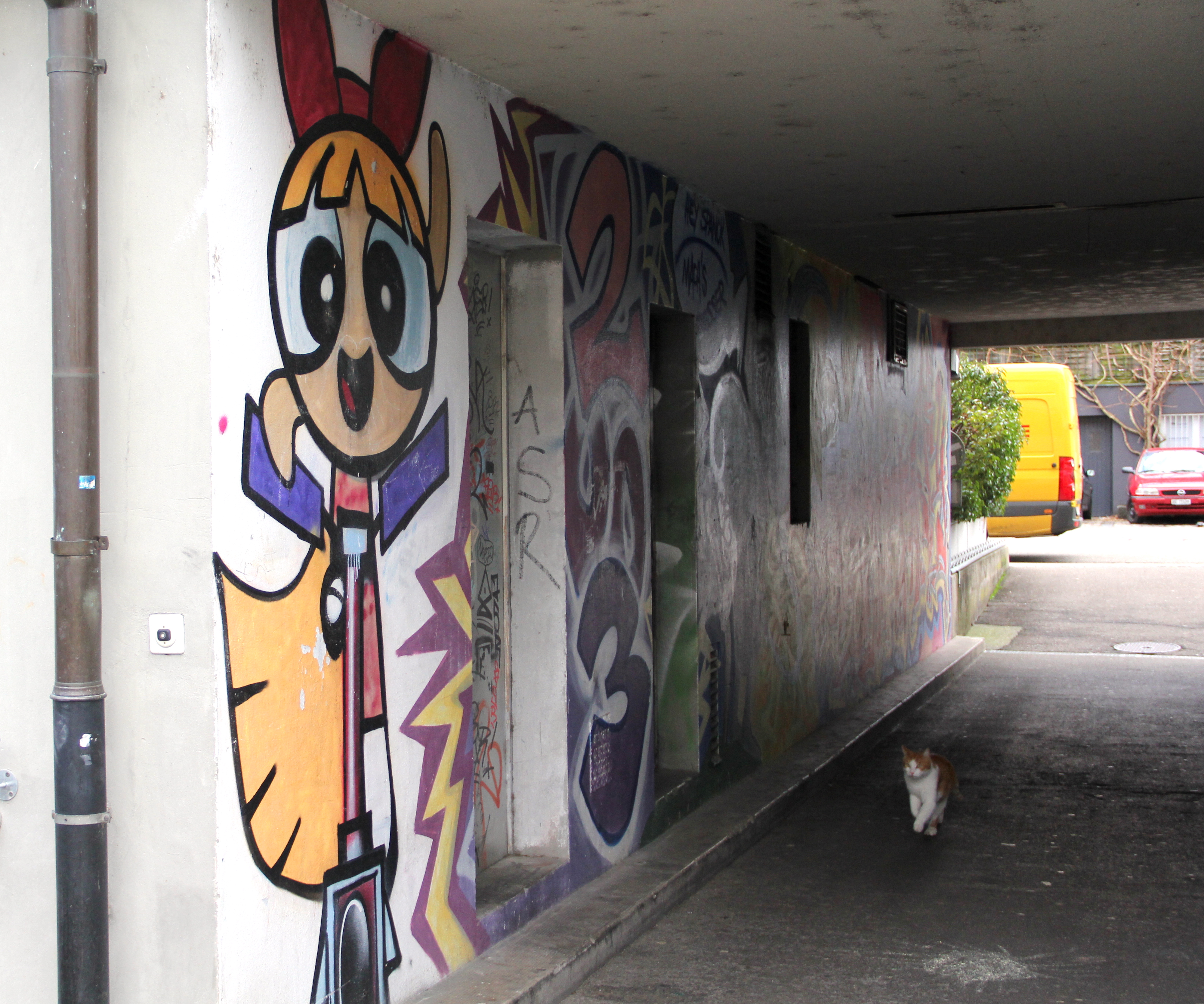Ein Graffiti-Tunnel, dessen Namen an das einst reichhaltige Fischvorkommen in Basel erinnert. Das Salmgässli ist aber nicht zu verwechseln mit dem Salmenweg.