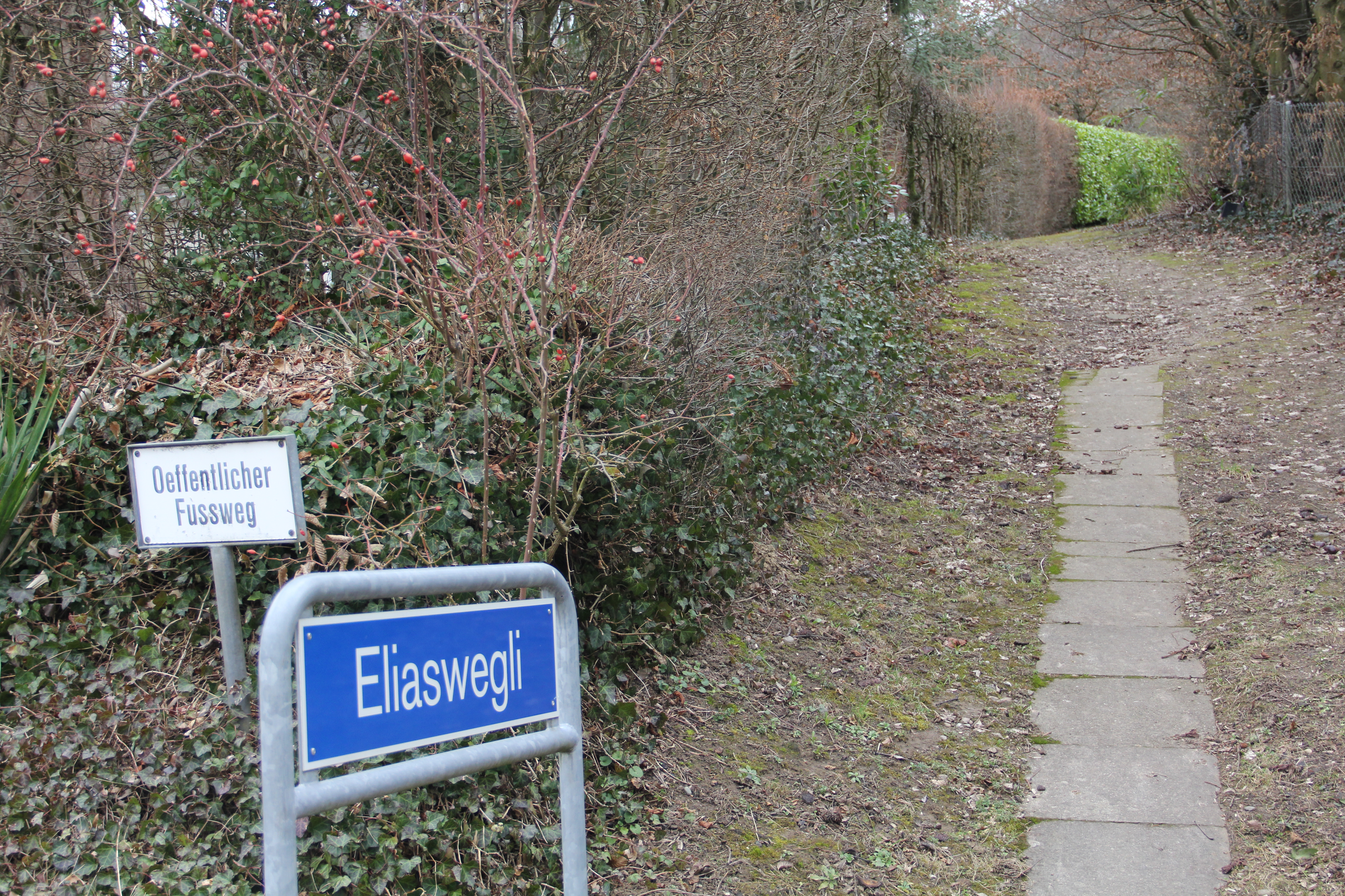 Lange Zeit ein unbenannter Schleichweg, doch seit wenigen Jahren nach einem Bettinger Politiker benannt: Das Eliaswegli am Riehener Ausserberg.