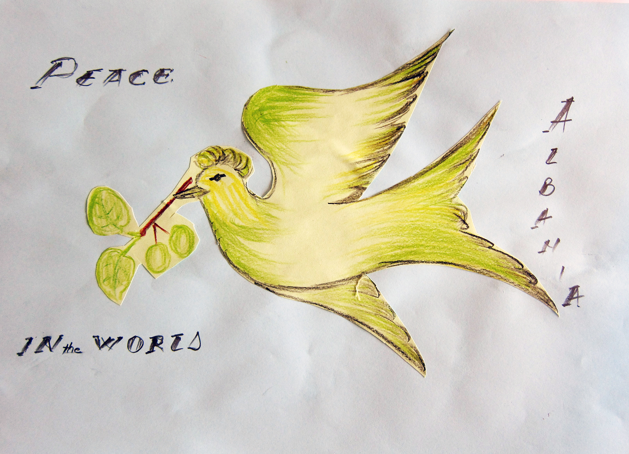 Peace in the world: Eine Friedenstaube, gezeichnet von einem Teenager aus Albanien.