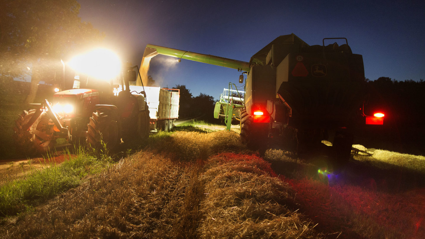 Die Minus-Kalorien der Schweizer Landwirtschaft | TagesWoche