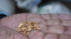 Tonnenweise Erde werden für wenige Gramm Gold umgegraben. 
