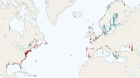 Die interaktive Karte zeigt, welche Küsten verschwinden und welche sich heben. 